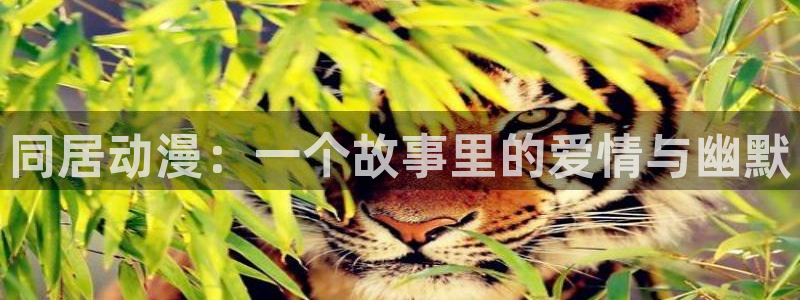 动漫天堂在线