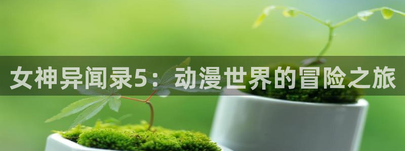 天堂动漫app