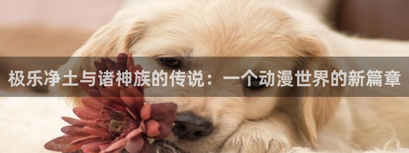 18禁动漫天堂