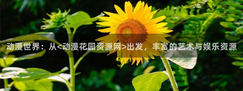 bt动漫天堂